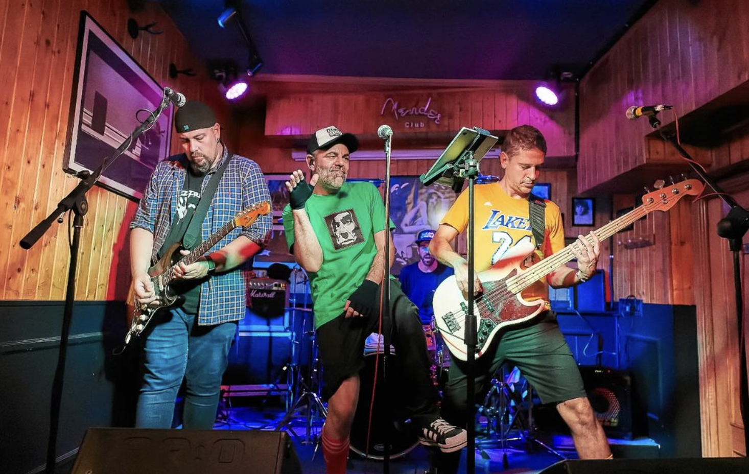 contratar tributo red hot chili peppers