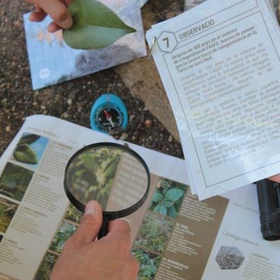 servicios team building madrid